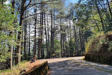 2025必去台中景點：你未聽過的隱藏寶藏