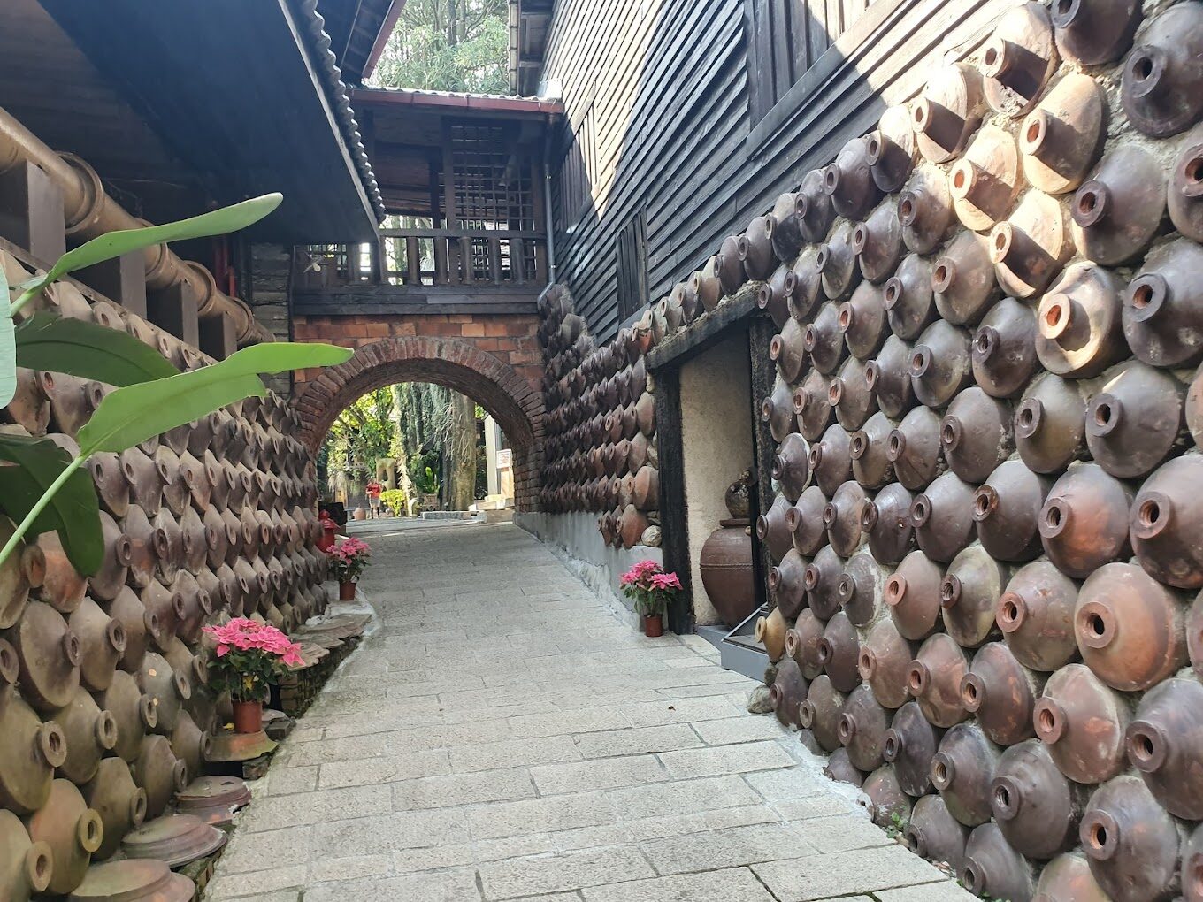 南投景點必遊清單｜你絕不能錯過的隱藏美景