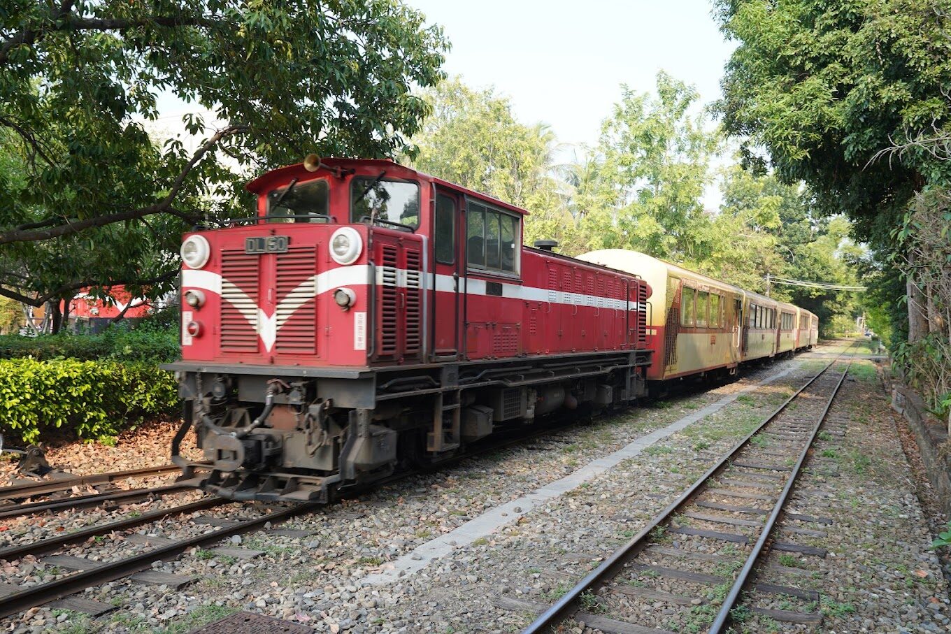 【2025】搭乘阿里山小火車的必備指南｜避免旅程中的常見錯誤