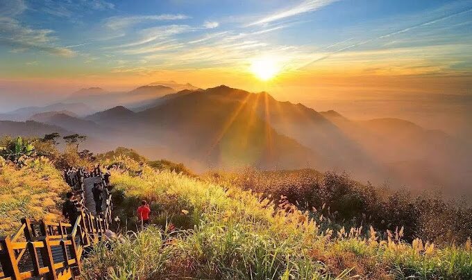 【2025】阿里山旅遊攻略｜絕景打卡點讓你不後悔