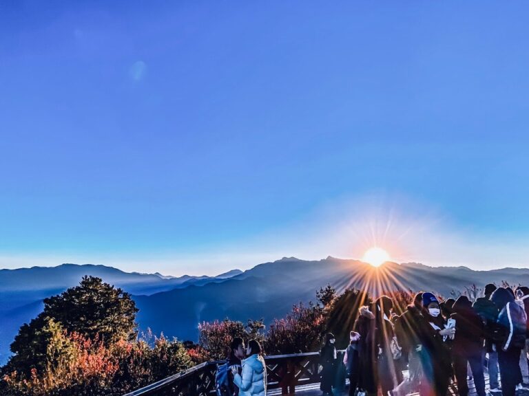 【2025】阿里山旅遊攻略｜絕景打卡點讓你不後悔