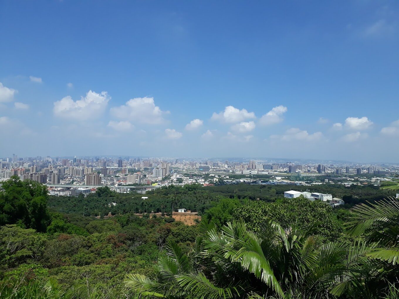 大坑9號步道探險：避開這常見錯誤，輕鬆享受自然之美