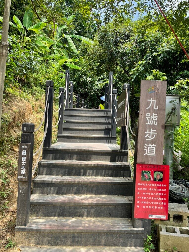 大坑9號步道探險：避開這常見錯誤，輕鬆享受自然之美