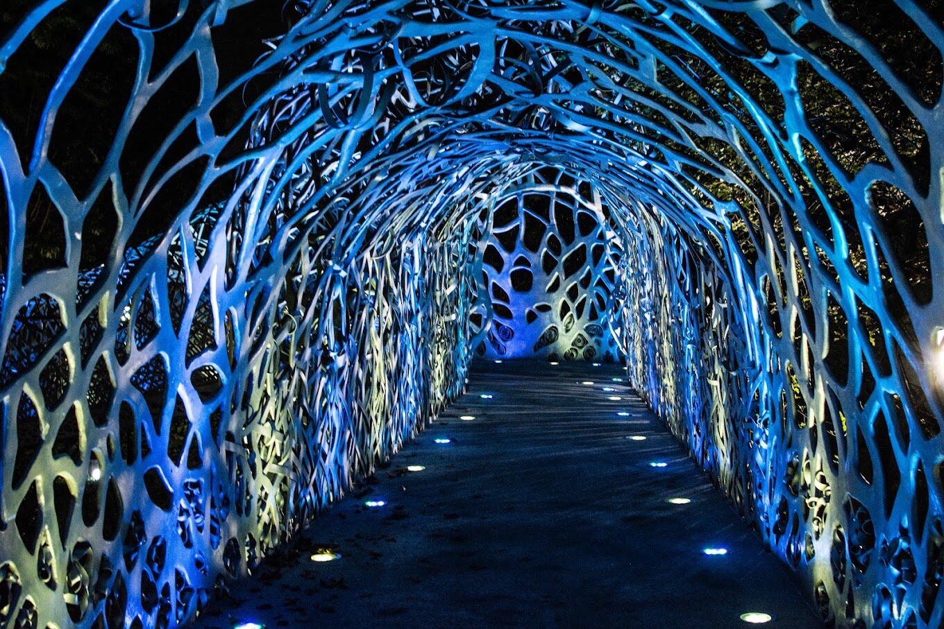 嘉義景點必去推薦｜必訪的不容錯過的熱門景點