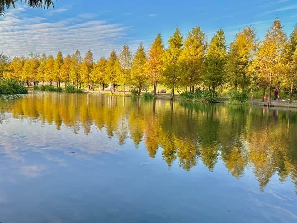 【2025大溪落羽松】不容錯過的台灣祕境景點與拍照技巧！