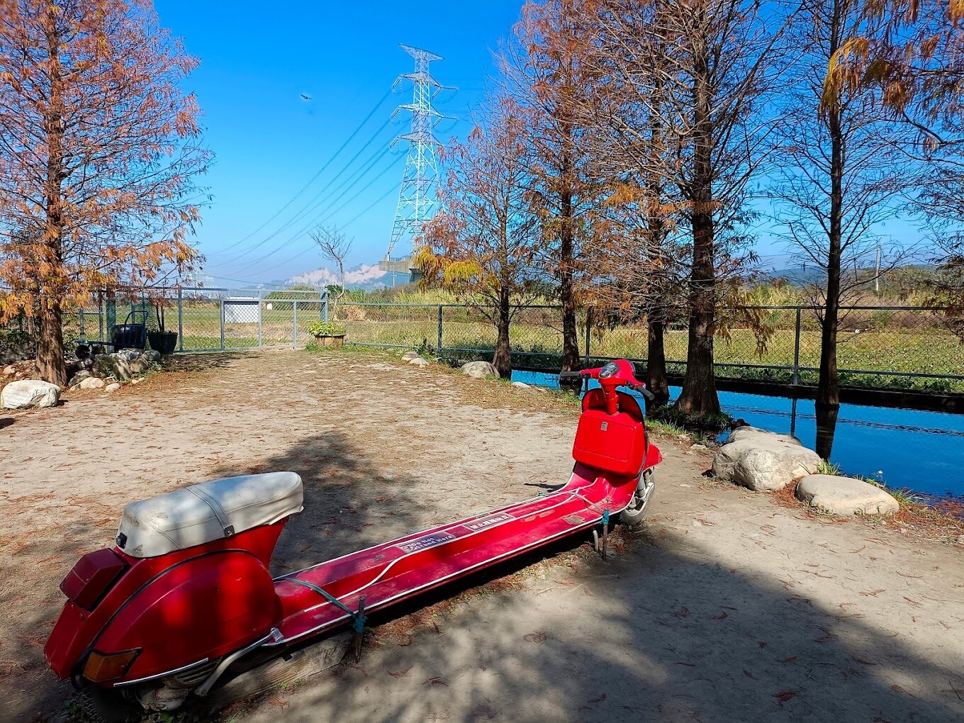 泰安落羽松的美麗祕境｜必知的拍攝小技巧