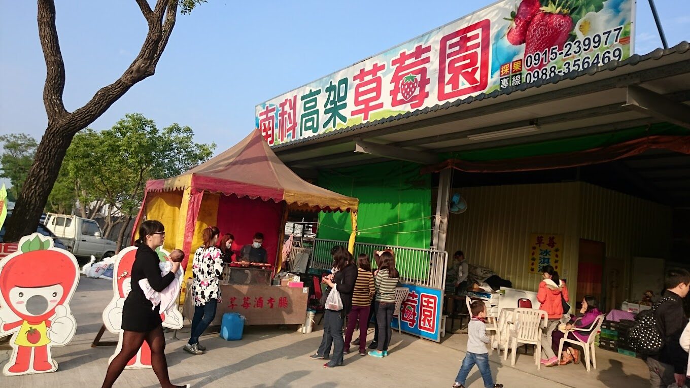 2025採草莓推薦｜不容錯過的優質草莓農場