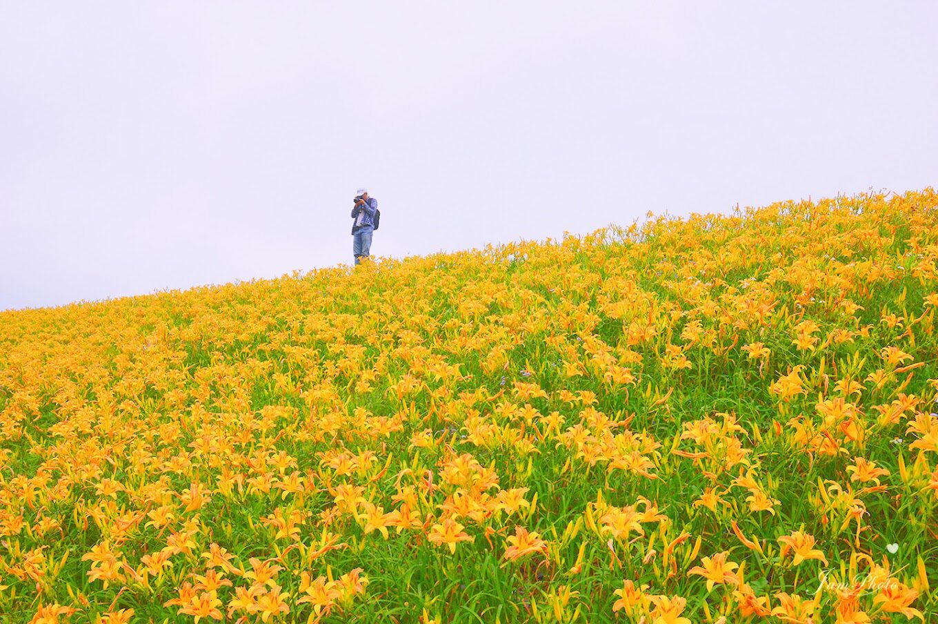 苗栗必去景點｜揭開這絕對不能錯過的秘境
