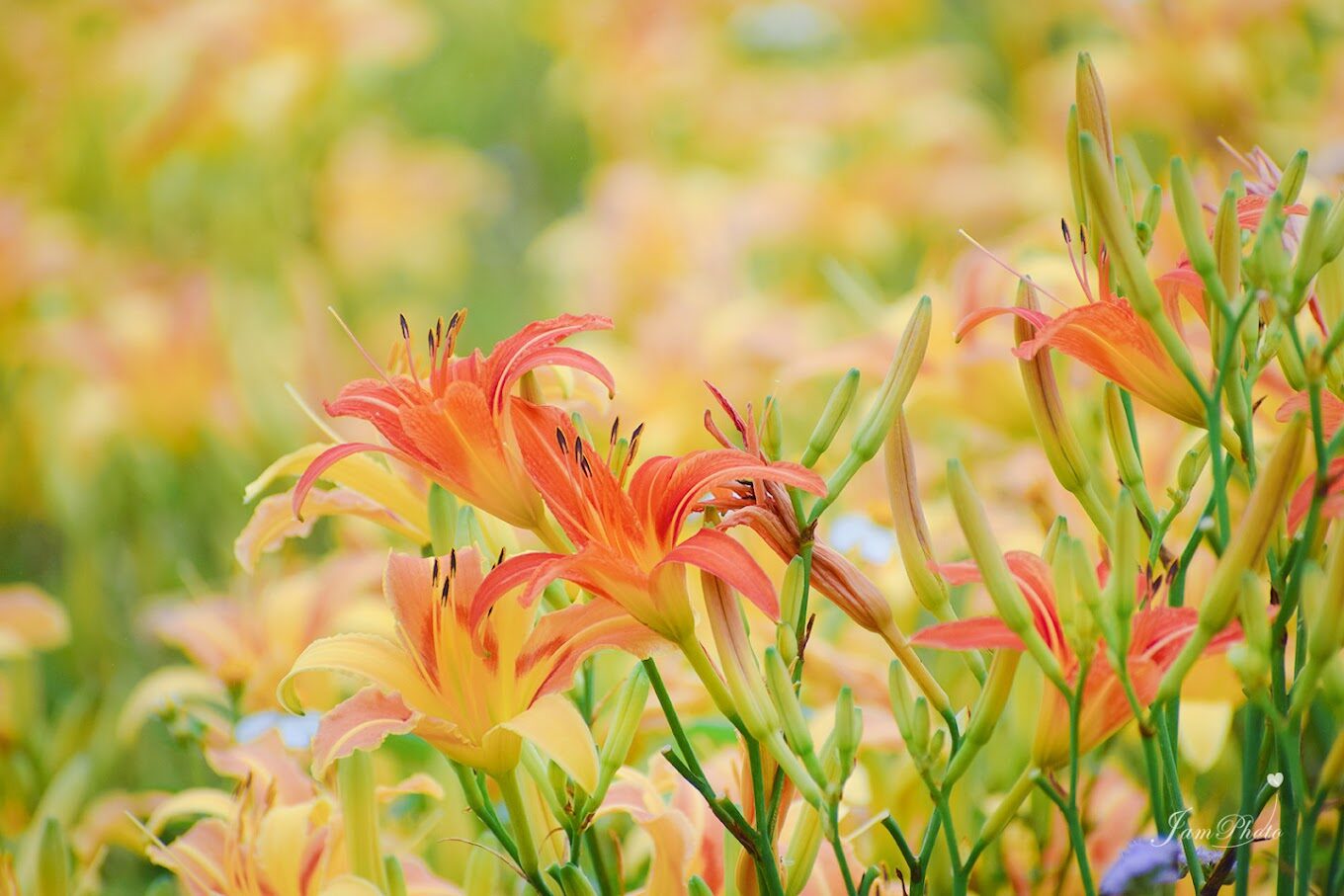 苗栗必去景點｜揭開這絕對不能錯過的秘境
