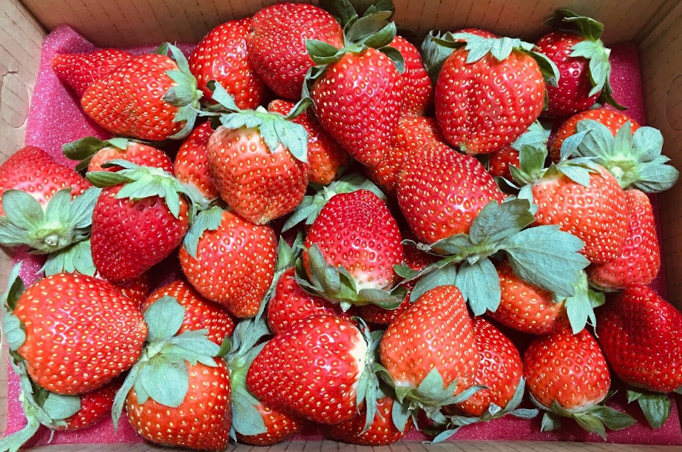 2025苗栗景點大揭密｜你絕對不能錯過的秘境