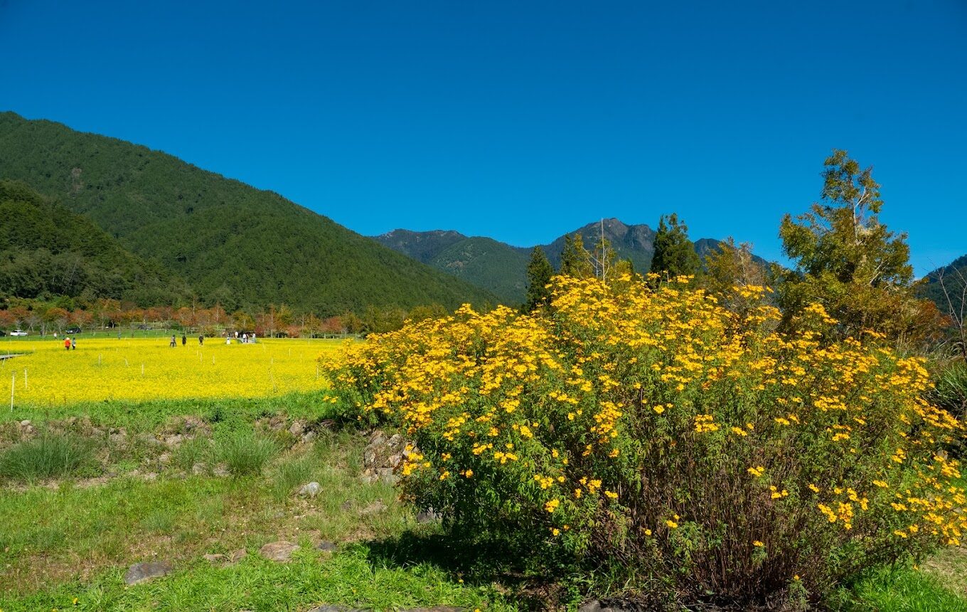 台中必去的景點推薦｜2025旅遊清單不容錯過