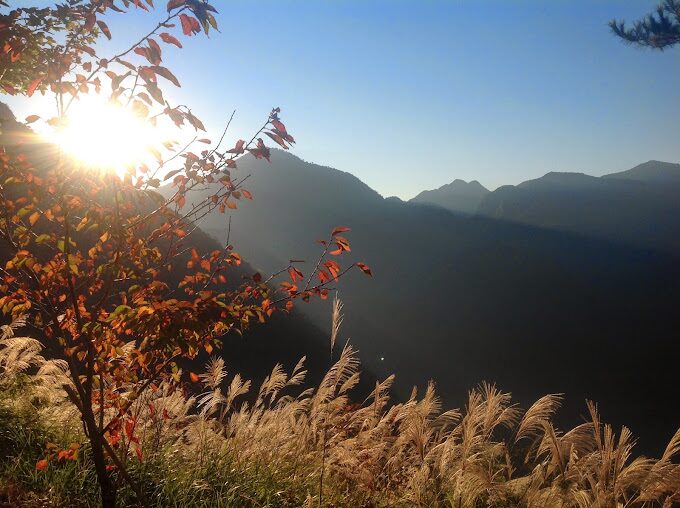 司馬庫斯秘境景點推薦｜探索台灣部落的自然奇景