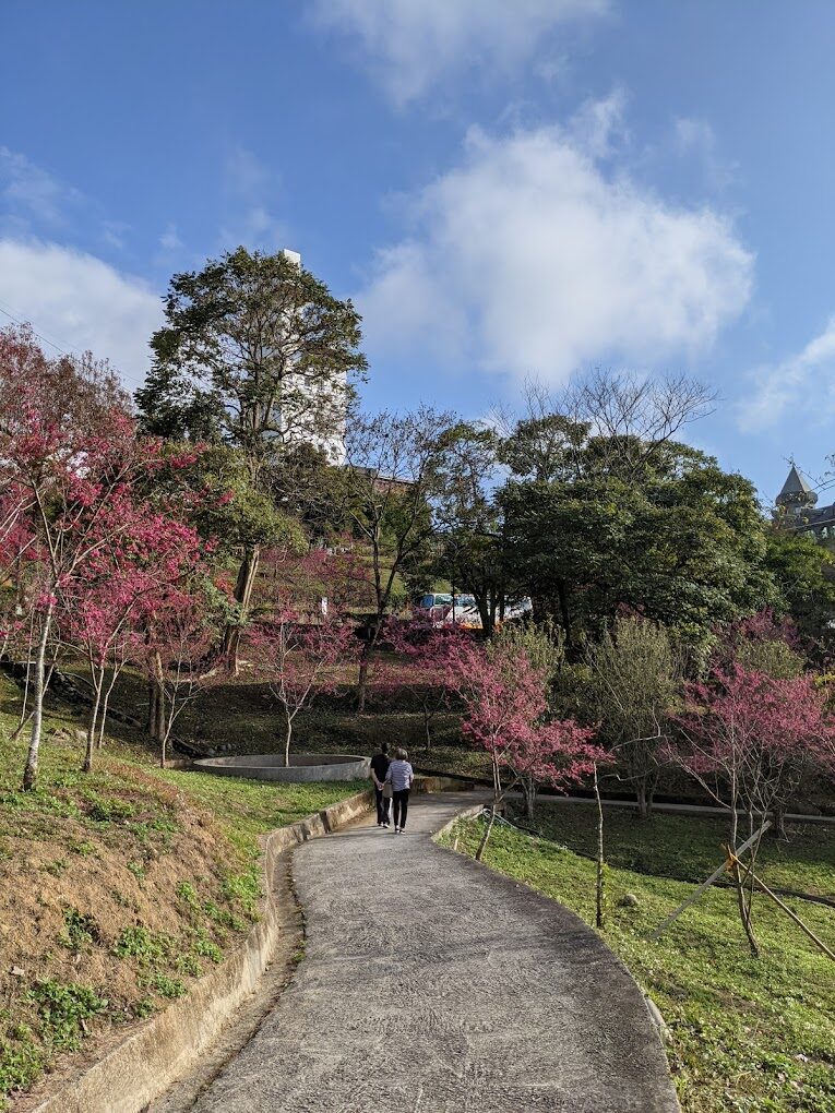 【2025】東勢林場生態之旅｜不容錯過的自然景點與體驗