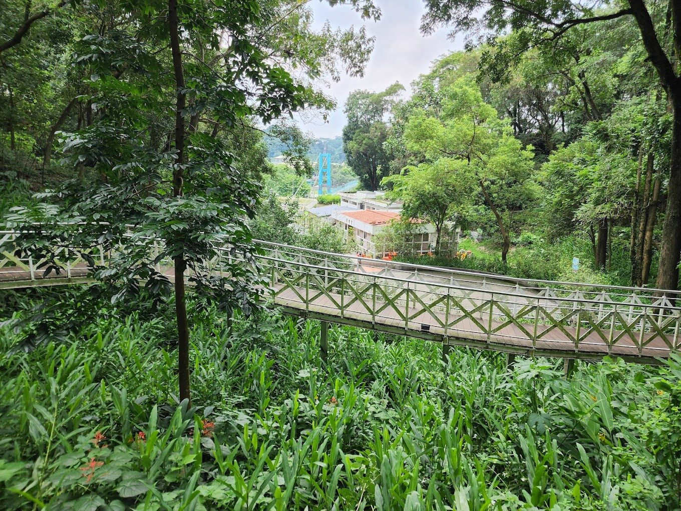 竹崎親水公園必訪亮點｜避開旅遊雷區享受悠閒時光
