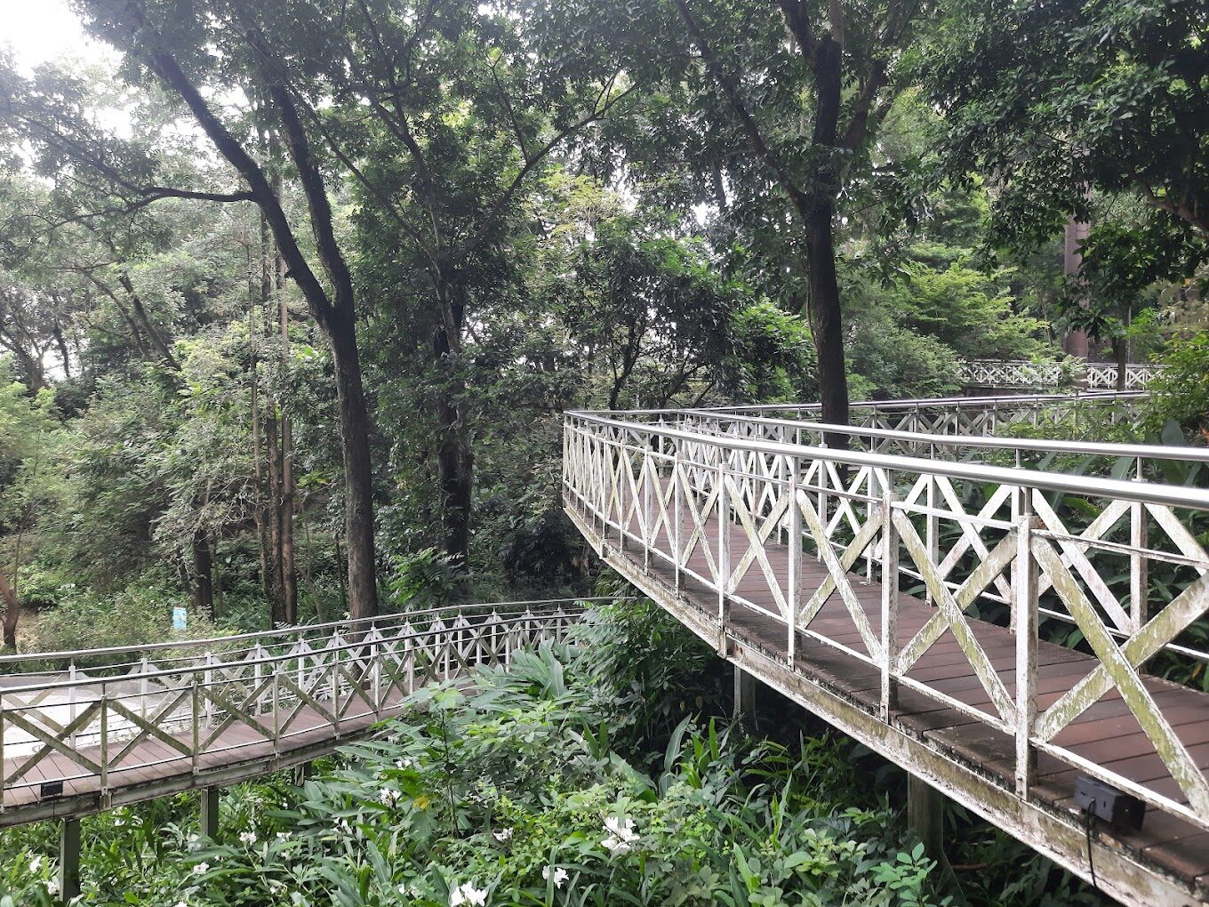竹崎親水公園必訪亮點｜避開旅遊雷區享受悠閒時光