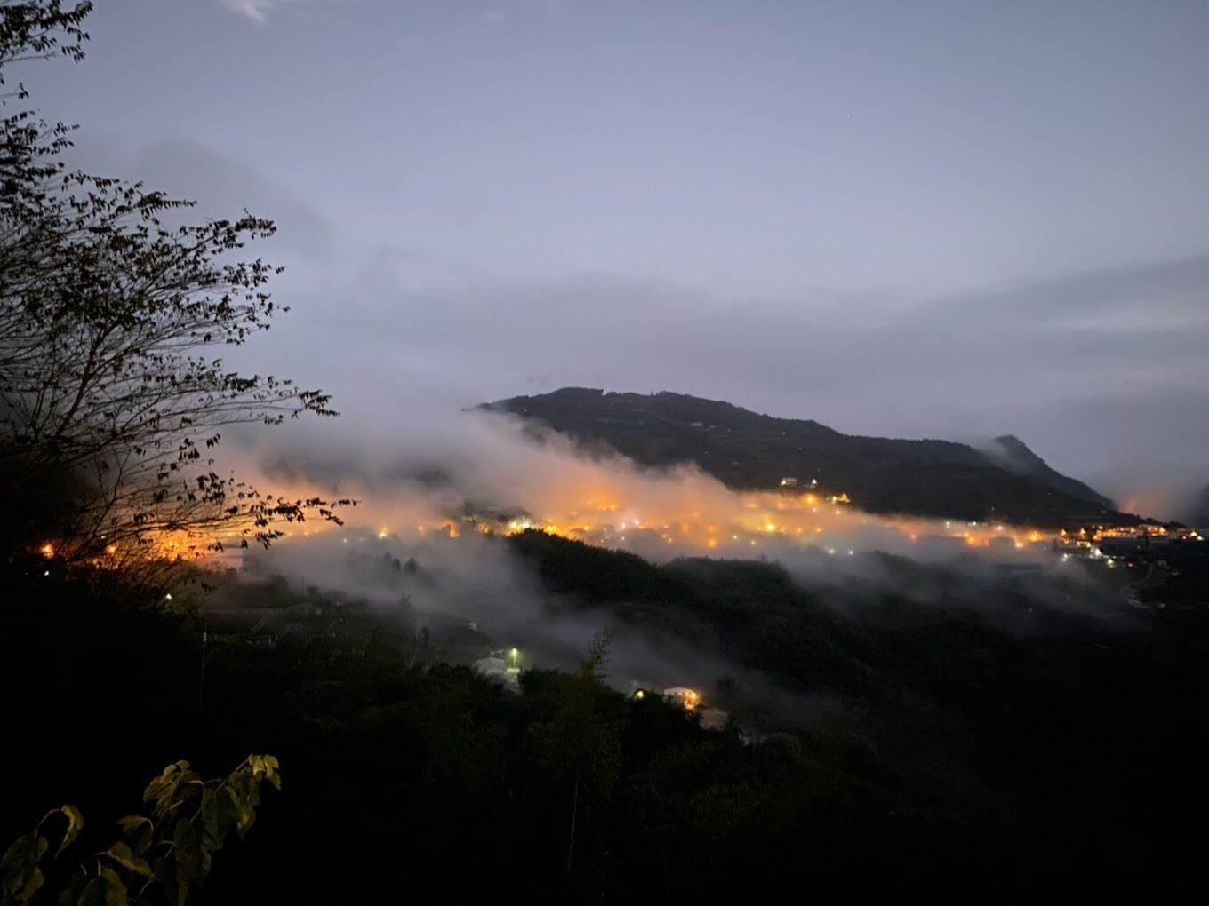 阿里山住宿選擇｜享受無與倫比的山林美景
