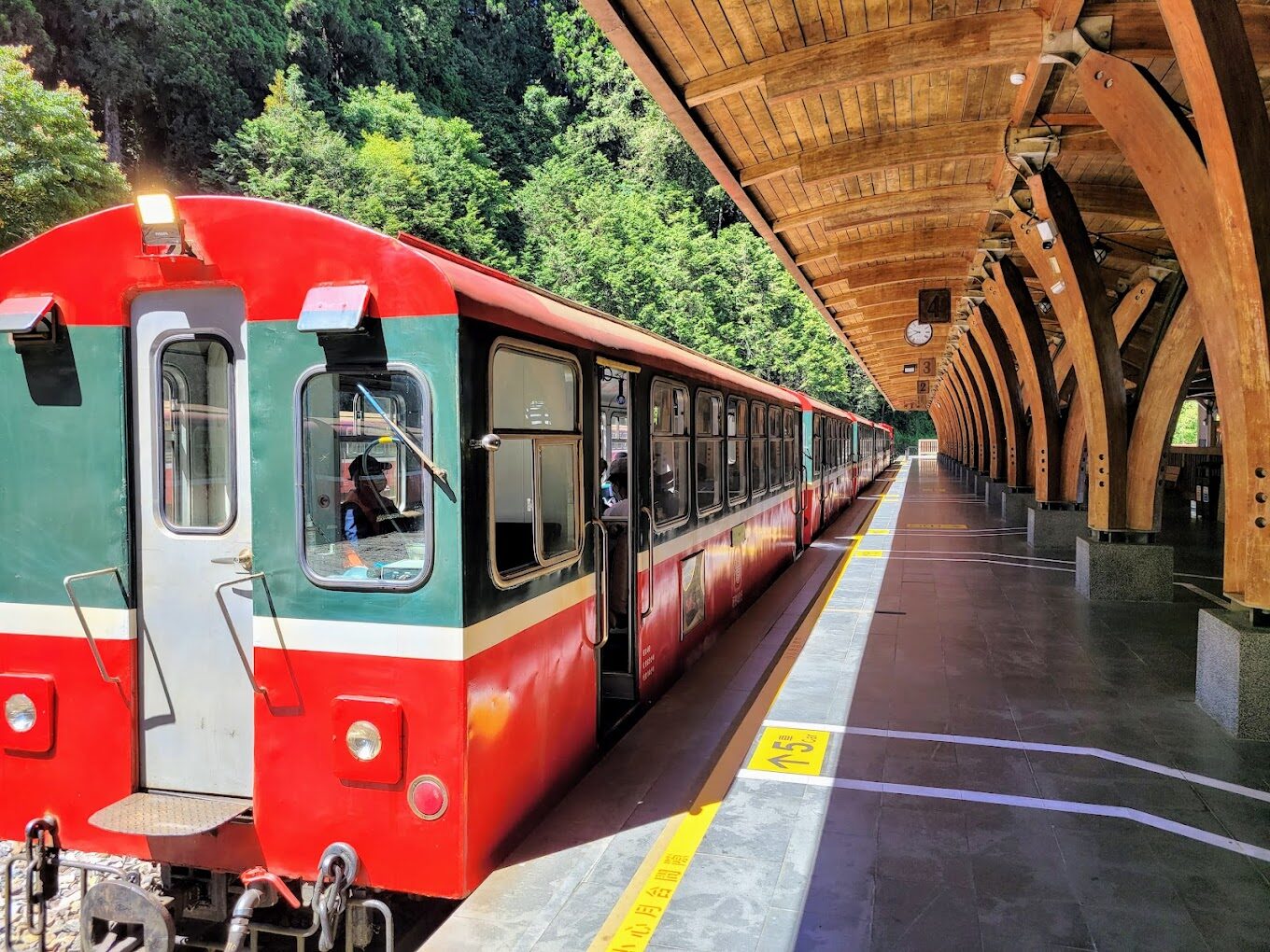 阿里山森林鐵路必遊攻略｜掌握秘訣讓旅程更順利