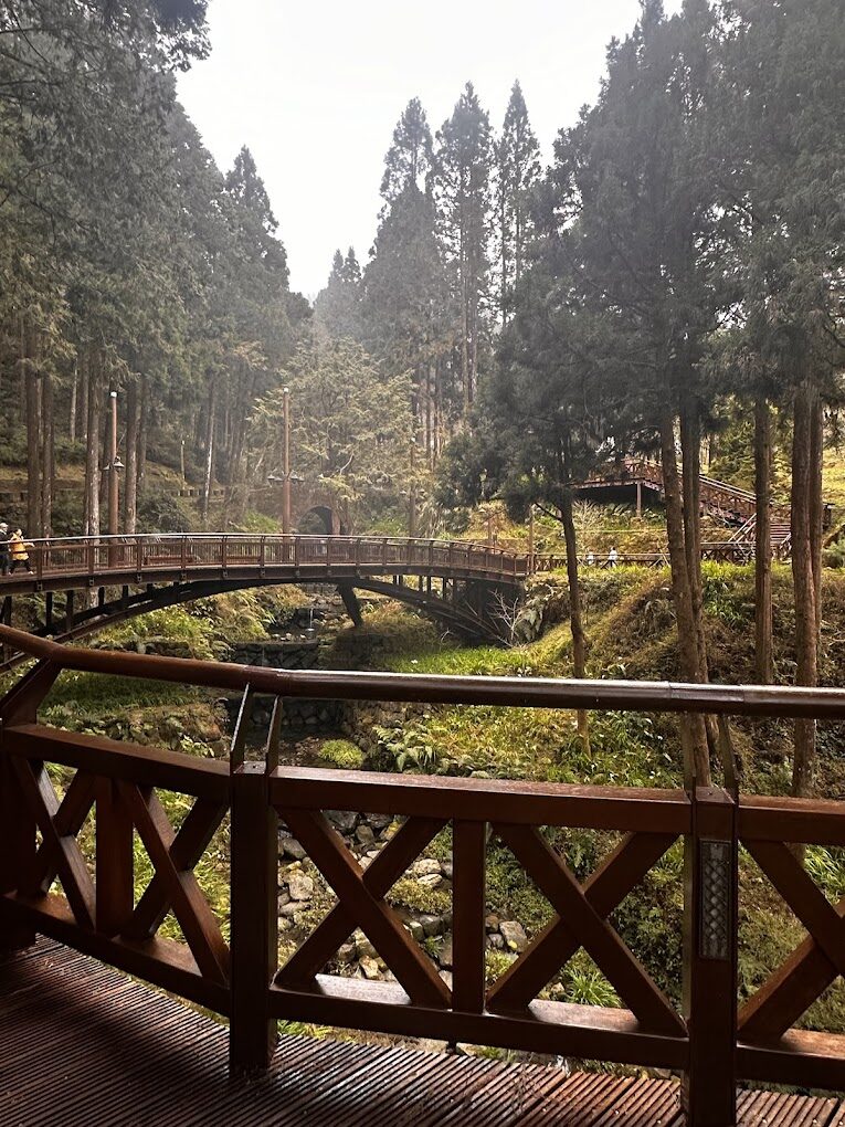 【2025阿里山】避開這旅遊陷阱！首次造訪必知的行程規劃