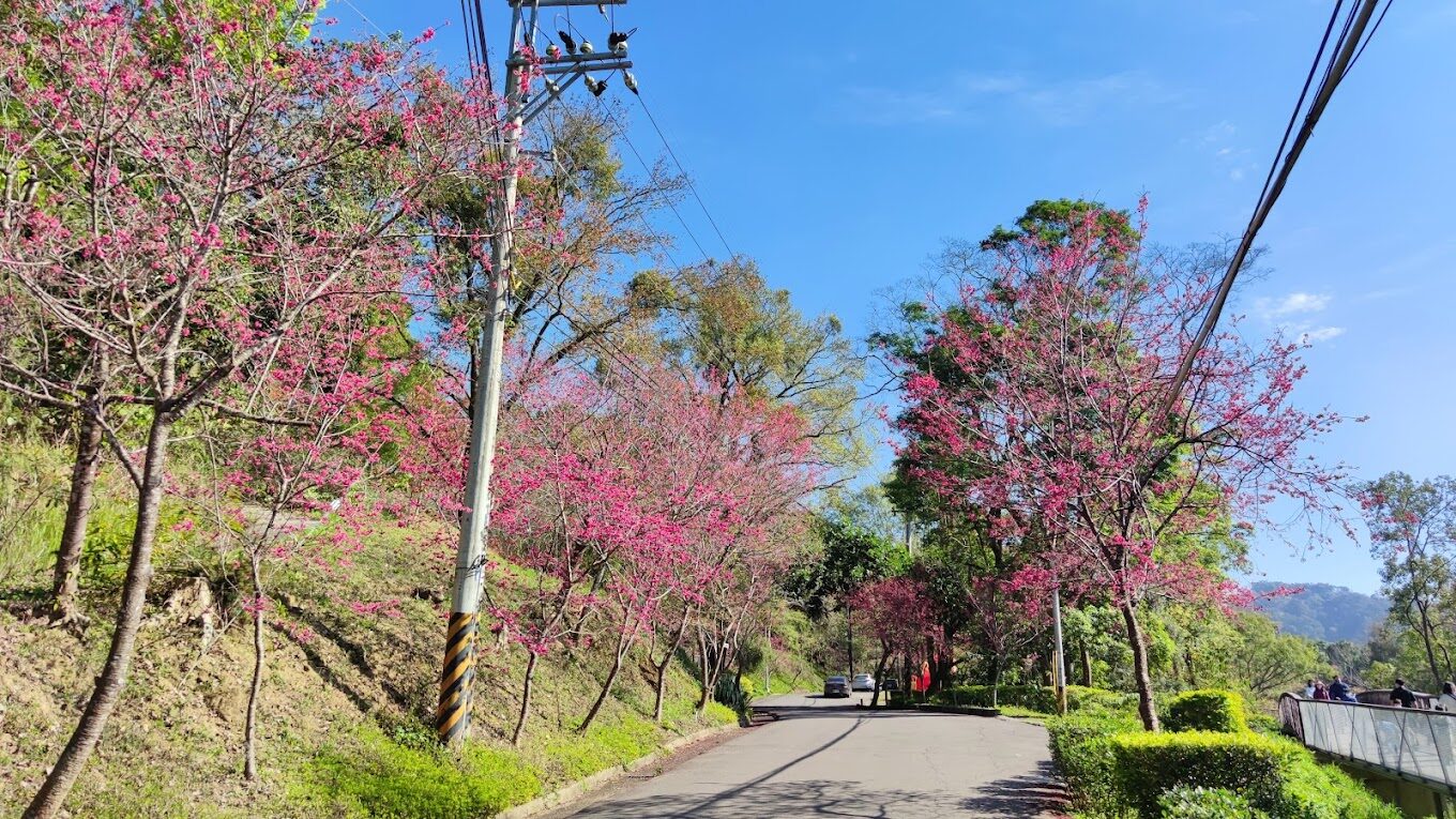 【2025】東勢林場生態之旅｜不容錯過的自然景點與體驗