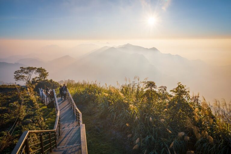【2025阿里山】避開這旅遊陷阱！首次造訪必知的行程規劃