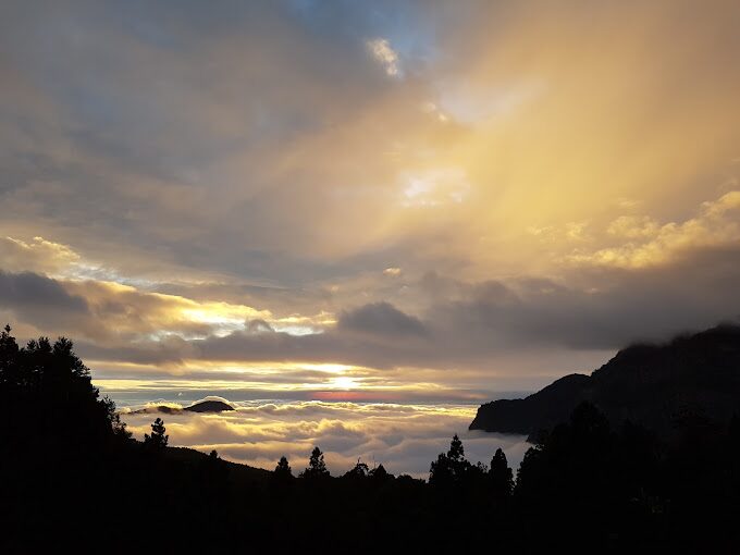 【2023】阿里山賓館住宿攻略：避免這常見錯誤，享受完美旅程