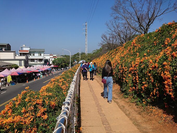 【2025】苗栗景點避雷指南：絕對不能錯過的隱藏景點