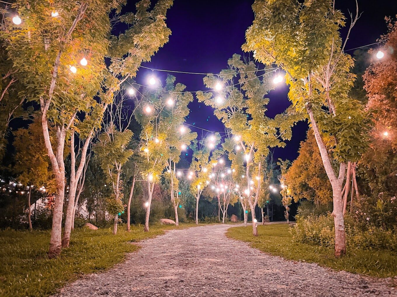 【2025】苗栗景點避雷指南：絕對不能錯過的隱藏景點