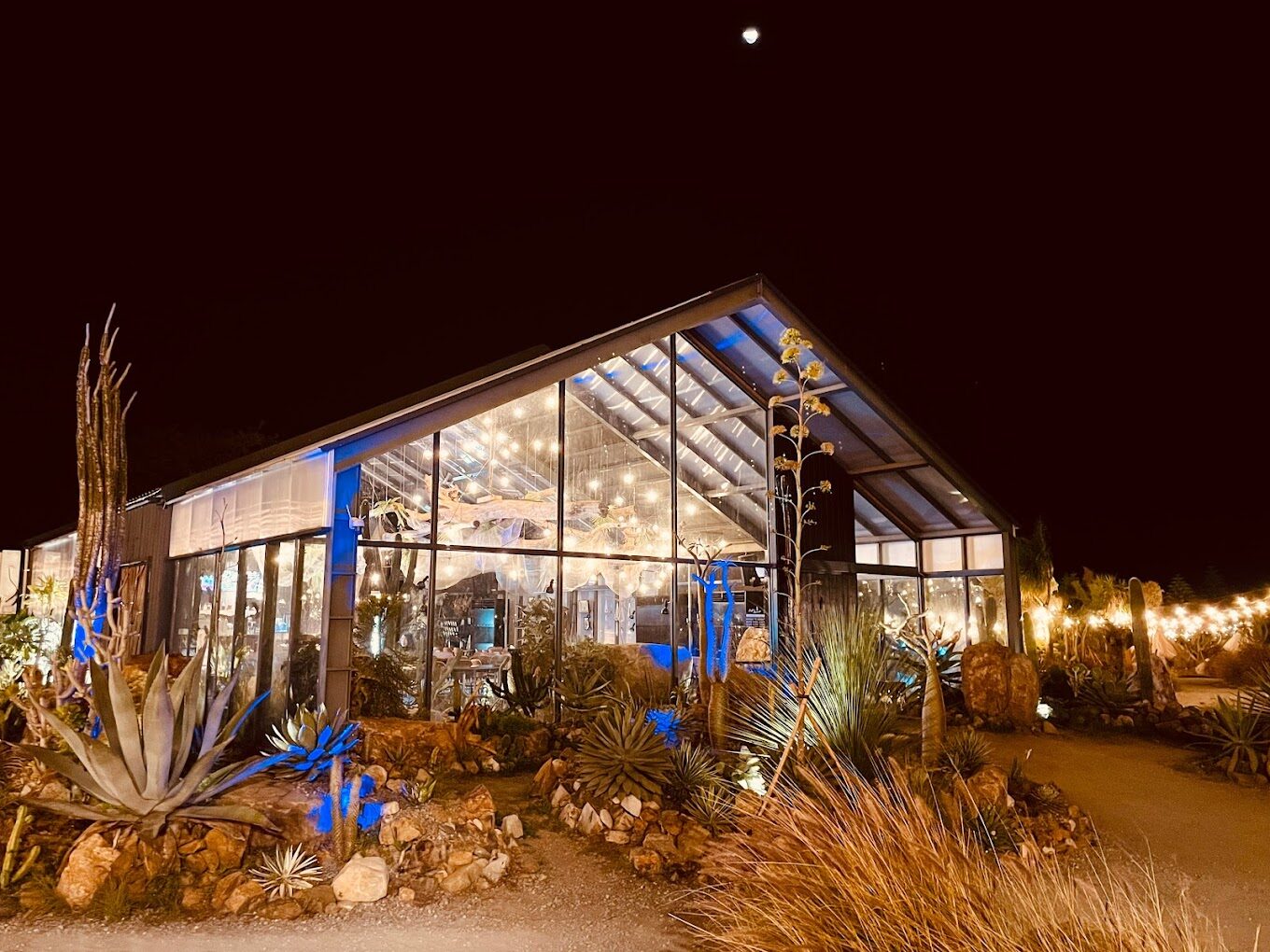 【2025】苗栗景點避雷指南：絕對不能錯過的隱藏景點