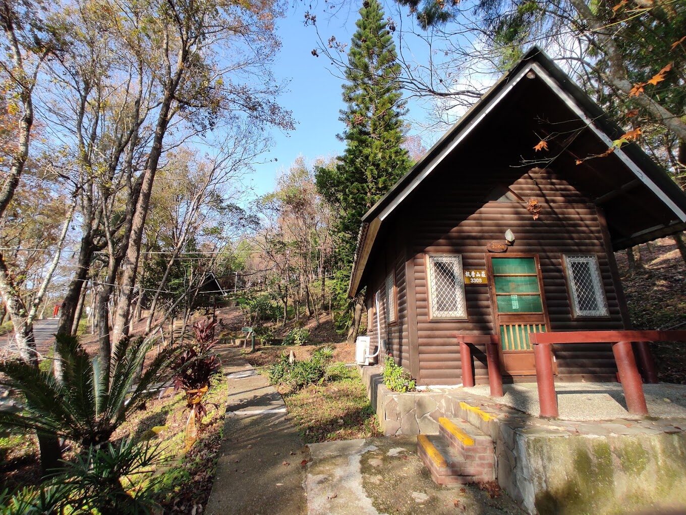 【2025】東勢林場生態之旅｜不容錯過的自然景點與體驗