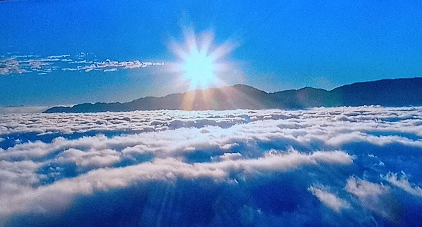 2025阿里山旅遊攻略:必去景點及避錯行程