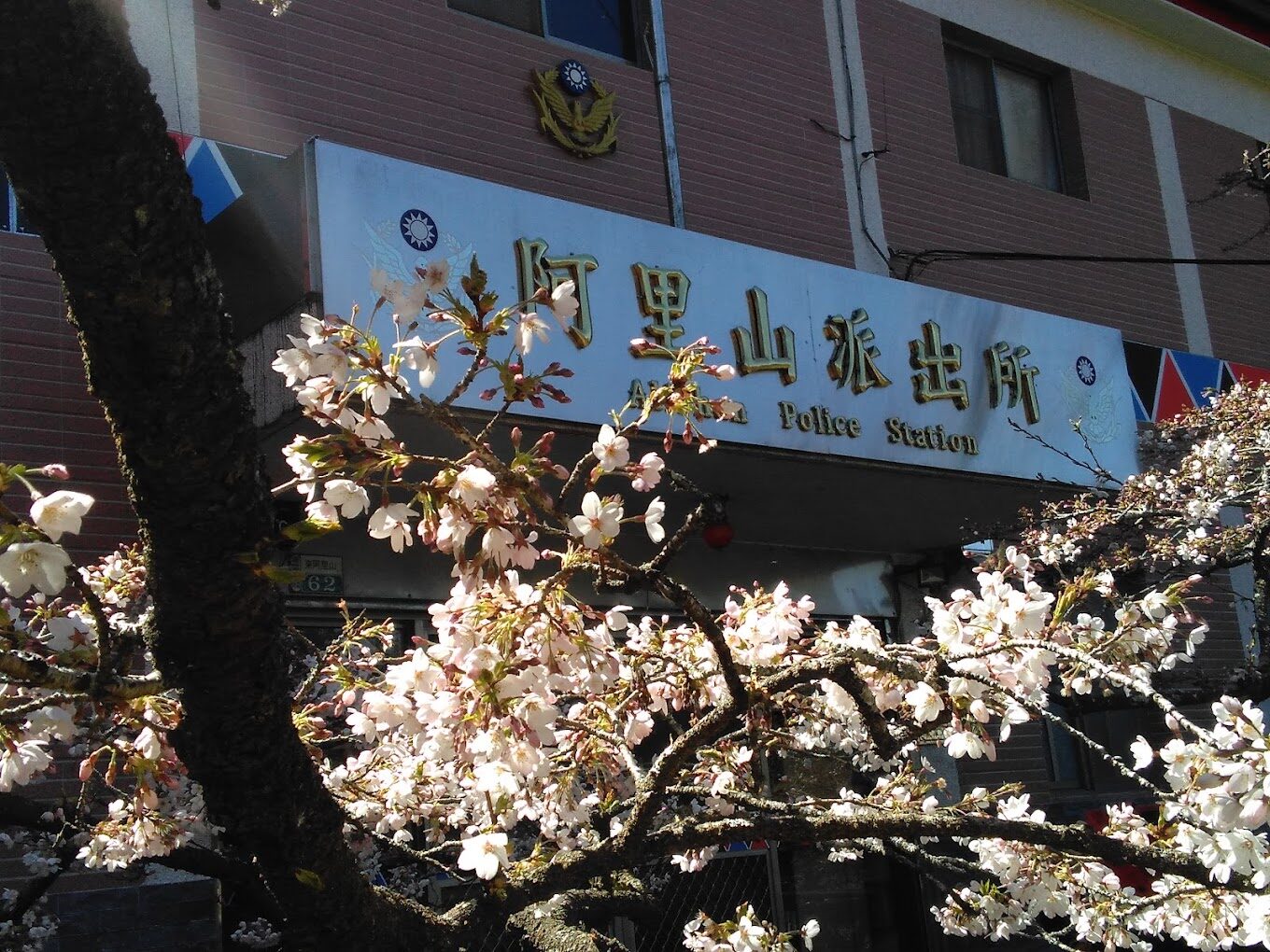 2025阿里山旅遊攻略:必去景點及避錯行程