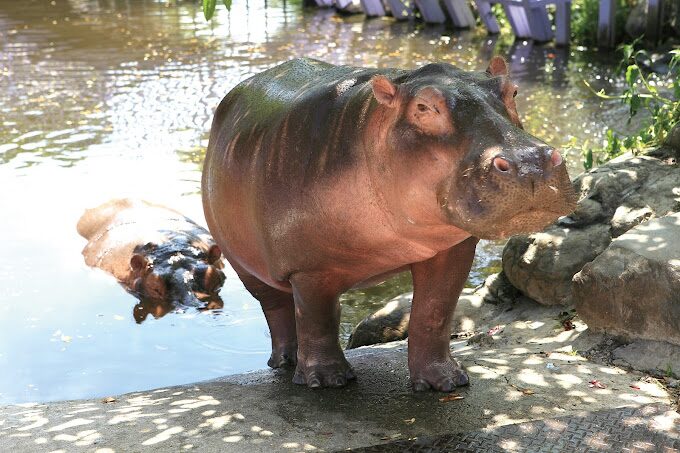 淨園農場旅遊攻略｜避免這常見錯誤，享受完美田園假期