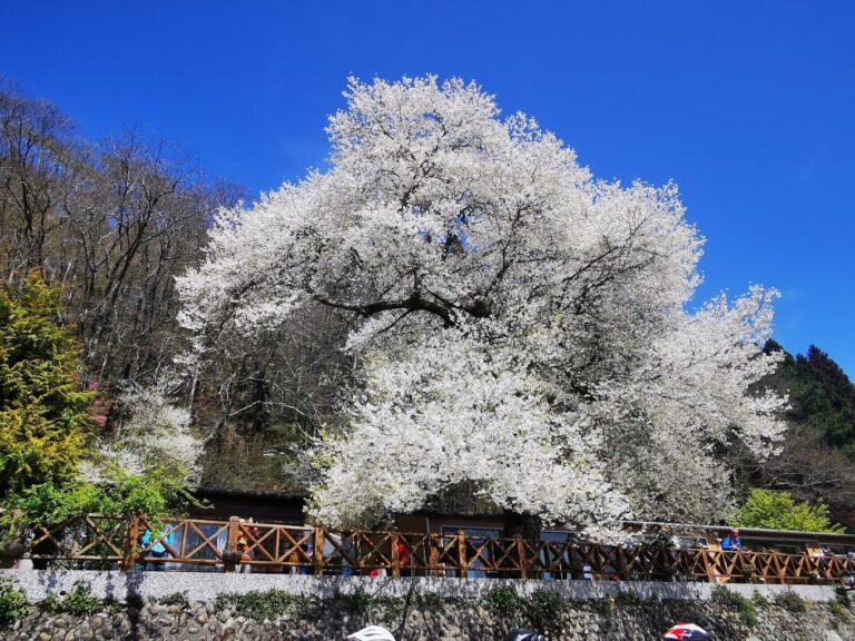 雪霸國家公園必遊景點推薦｜自然愛好者絕對不能錯過