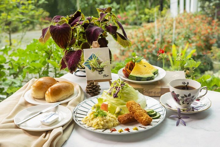 2025阿里山住宿推薦|避開常見問題,享受完美山中假期