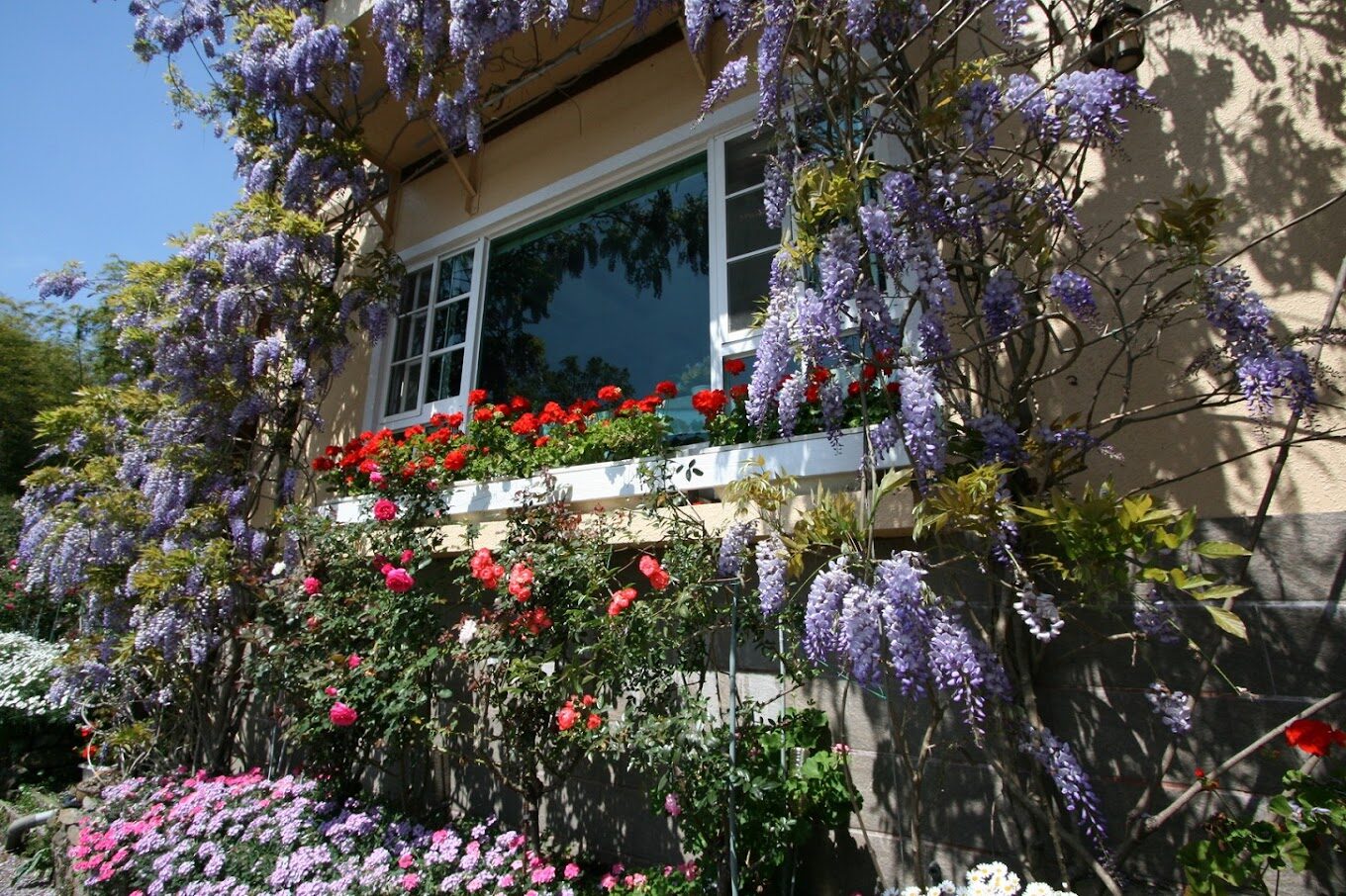 2025阿里山住宿推薦｜避開常見問題，享受完美山中假期