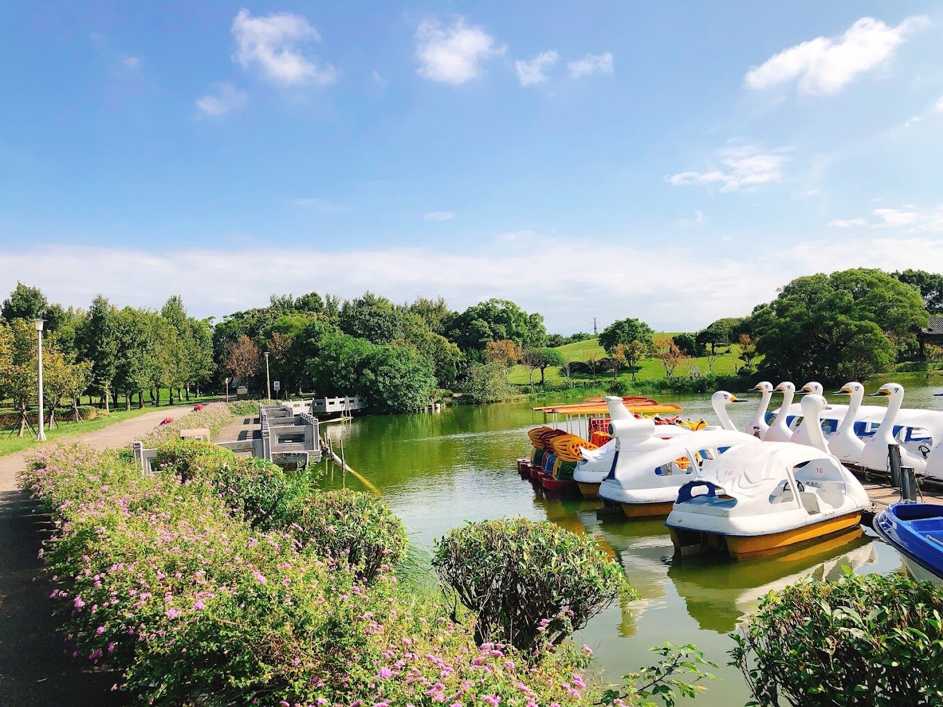 埔心牧場一日遊攻略|不得不玩的體驗活動推薦