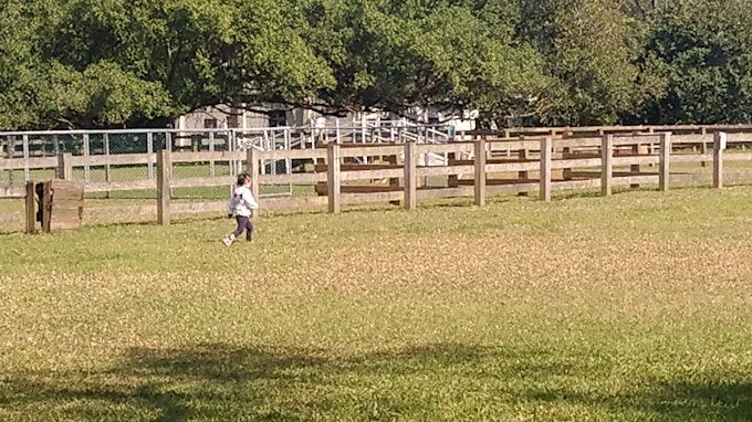 埔心牧場一日遊攻略|不得不玩的體驗活動推薦