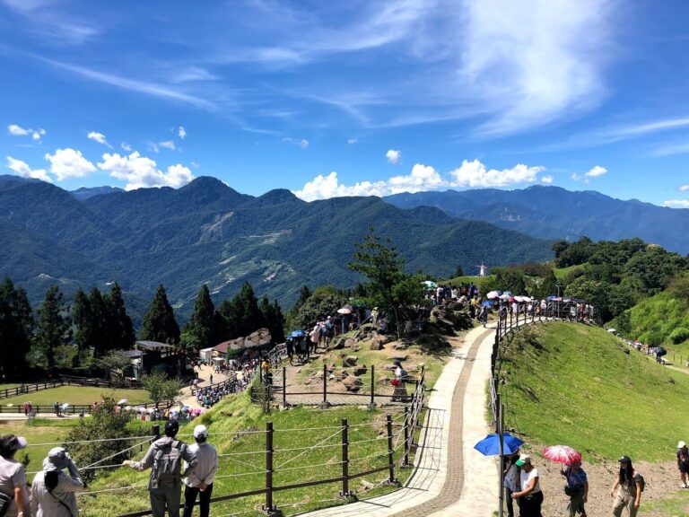 清境農場必遊景點｜不可錯過的拍照熱點