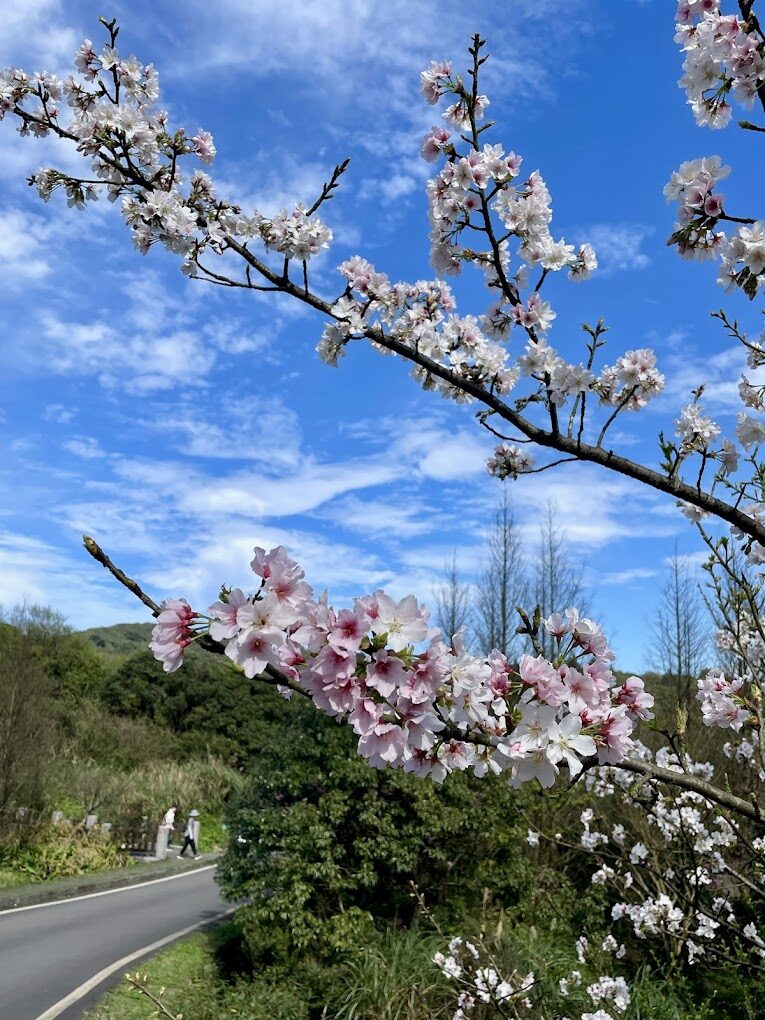 陽明山冷水坑自然生態與步道