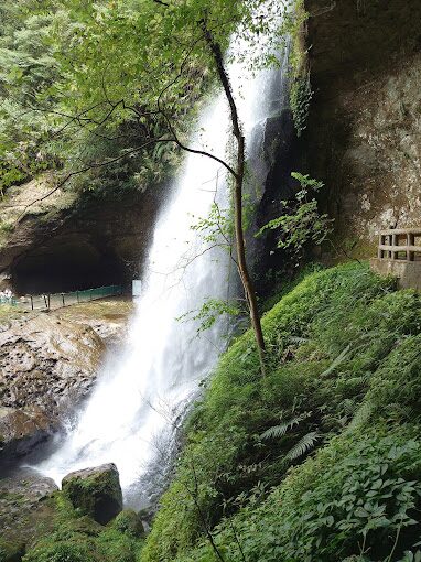 2025杉林溪旅遊指南｜探索隱藏的必訪景點