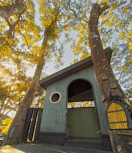 【2025】薰衣草森林不可錯過的必遊亮點：避開遊客陷阱享受私密自然