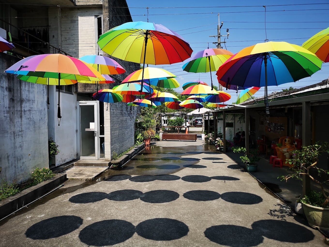 【2025宜蘭農場】不踩雷的農場推薦｜家庭旅遊必訪之地