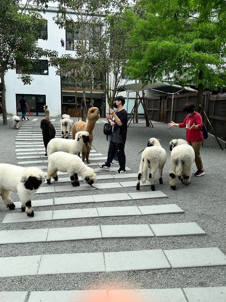 【2025】宜蘭農場旅遊懶人包：必訪景點與美食推薦