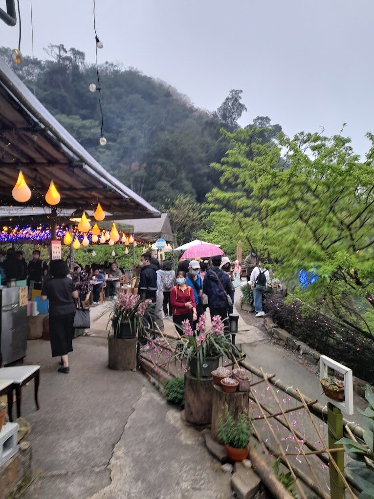 大熊櫻花林必訪指南|2025年賞櫻最佳去處及注意事項