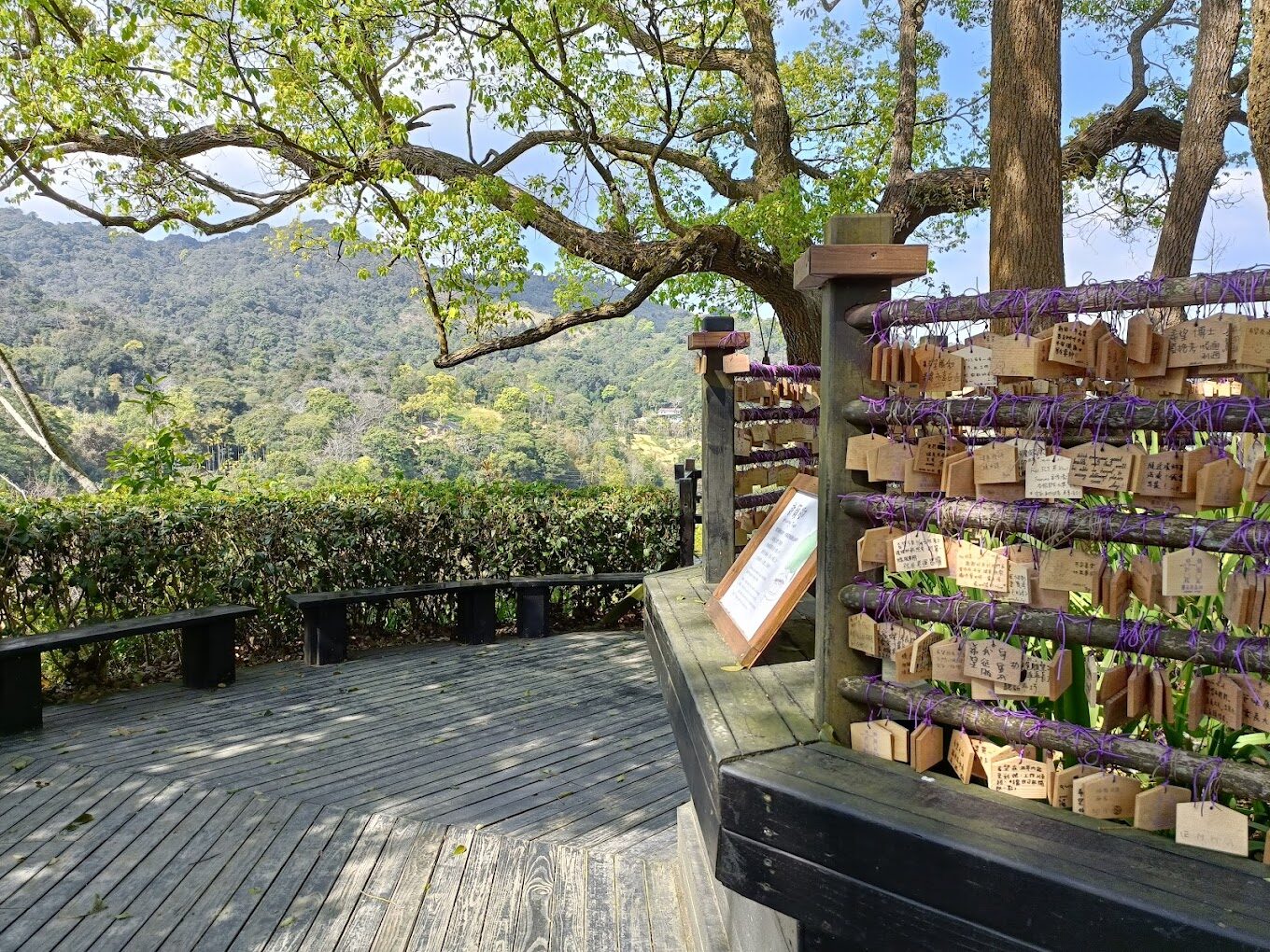 【2025】探索薰衣草森林的獨特體驗｜不容錯過的浪漫旅遊景點