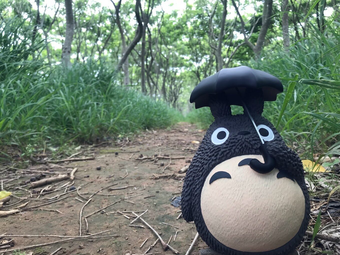 東勢林場必玩景點推薦|2025年最新探訪指南