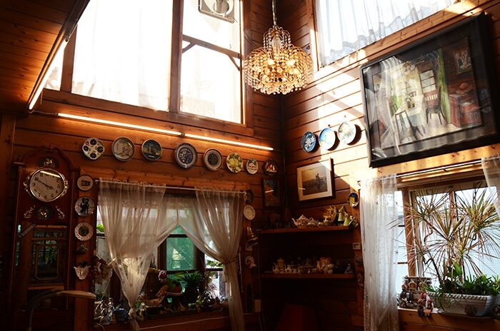 東勢林場必玩景點推薦|2025年最新探訪指南