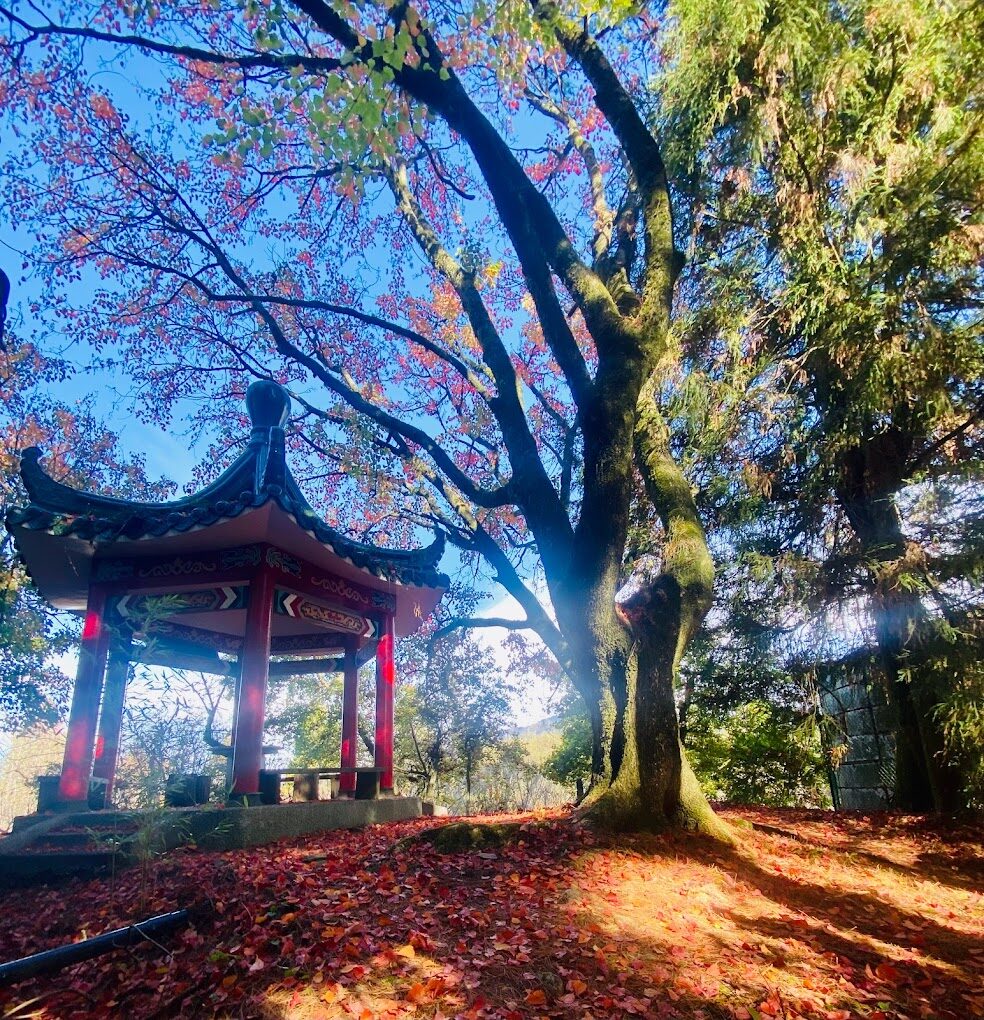 【2025】如何避開福壽山農場的旅遊陷阱？實用技巧告訴你