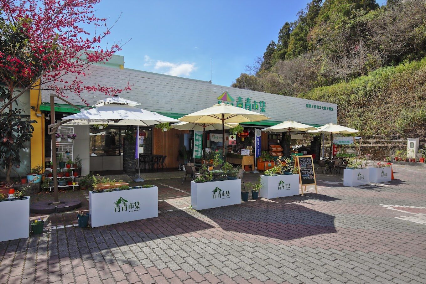 青青市集與賽德克文化體驗活動