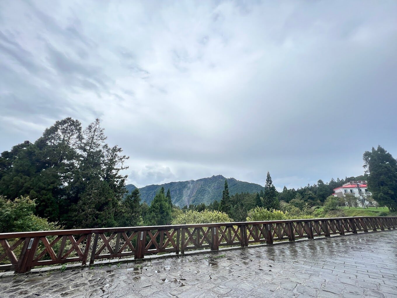 【2025】阿里山旅遊必知：避免錯誤讓你的旅程完美無缺